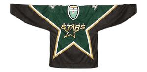 Dallas Stars North Stars NHL Black Hockey Jersey Lapel Hat Pin