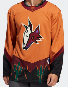 My collection: Reverse Retro jersey #2 - Arizona Coyotes : r/hockeyjerseys